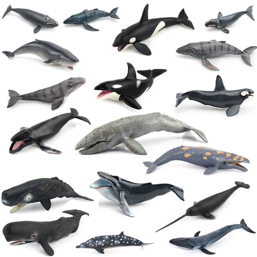 Marine Aquarium Decorations - Modelos Realistas de Animais Marinhos: Baleia-Cavaleiro,
