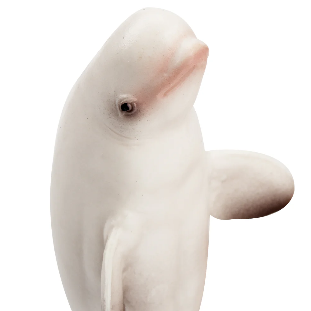 Toymany simulação beluga balei - Marine Aquarium Decorations avaliação e preço