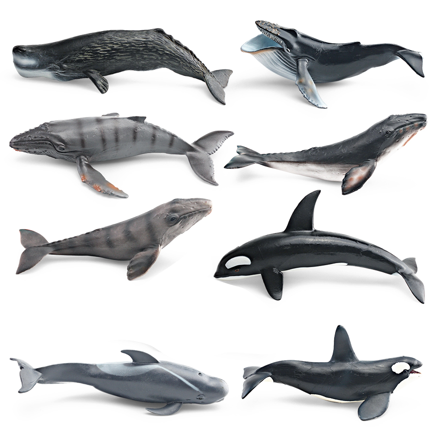 Modelos Realistas de Animais M - Marine Aquarium Decorations avaliação e preço