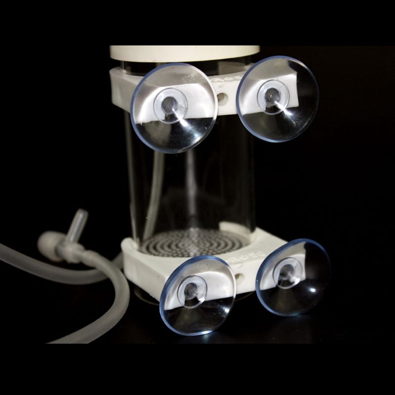 Incubadora de Ovos para Cíclid - Aquarium & Marine Museum Ums avaliação e preço