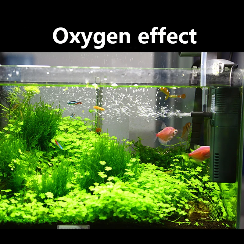 Sunsun-Mini Nano bomba interna - Marine Aquarium Kit avaliação e preço